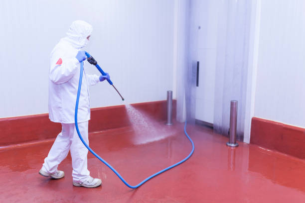 Best Rust Removal  in Blountstown, FL